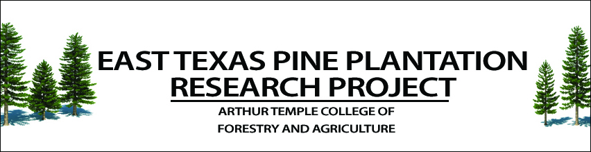 East Texas Pine Plantation Research Project