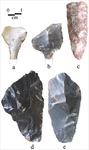 Flake Tools from the Sanders Site