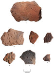 Punctated Rim and Body Sherds from the Long Site by Timothy K. Perttula and Kevin Stingley