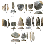 Scraping Tools and Perforator from the Sanders Site by Timothy K. Perttula; R. Bo Nelson; Mark Walters; and Robert Z. Selden , Jr., Ph.D., R.P.A.