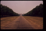 The Long Walk at Windsor Castle by E. Deanne Malpass