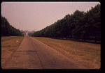The Long Walk at Windsor Castle by E. Deanne Malpass