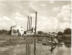 2400-1355 Plant Pond Angelina Lumber Co Keltys 1950 by United States Forest Service