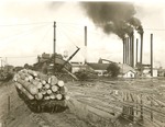 2400-1392 Mill Temple Lumber Co Pineland - Sabine National Forest 1950