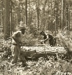 2400-372471 Two Woodsmen Bucking Pine Log - Davy Crockett National Forest 1938