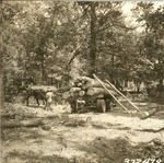 2400-372479 Loading Logs Mule Team - Davy Crockett National Forest 1938 by United States Forest Service