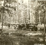 2400-372480 Loading Logs Mule Team - Davy Crockett National Forest 1938