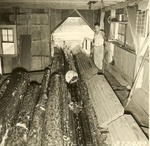 2400-372489 Boettcher Log Chain - Sam Houston National Forest 1938 by United States Forest Service