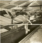 2400-372494 Boettcher Sorting Grading Lumber - Sam Houston National Forest 1938 by United States Forest Service