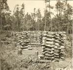 2400-372512 Short Split Pine Stacked Private Sale - Sam Houston National Forest 1938 by United States Forest Service