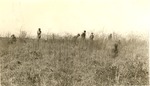 2400-407944 Small Scale Planting - Angelina National Forest 1939