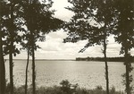 2352-514995 Sam Rayburn Sandy Creek - Angelina National Forest 1966 by United States Forest Service