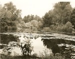 2352-1377-Upper-Pools-Ratcliffe-Lake-Davy Crockett National Forest-1950