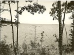 2352-515381 Sam Rayburn Letney Camp - Angelina National Forest 1966 by United States Forest Service