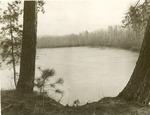2352 T64-166 Sabine River East Hamilton - Sabine National Forest 1960 by United States Forest Service