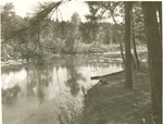 2352 T64-175 Ratcliff Lake - Davy Crockett National Forest 1960 by United States Forest Service