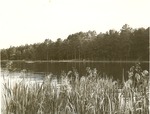 2352 T64-178 Ratcliff Lake - Davy Crockett National Forest 1960 by United States Forest Service