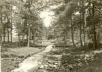 2352 T67-7 Boykin Springs Spillway - Angelina National Forest 1967