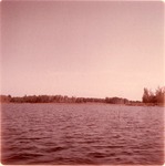 2352 T68-67 Sam Rayburn Reservoir - Angelina National Forest 1967 by United States Forest Service