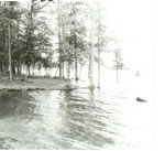 2352 T68-90 Townsend Rec Area Sam Rayburn - Angelina National Forest 1968 by United States Forest Service