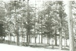 2352 T68-92 Townsend Rec Area - Angelina National Forest 1968