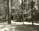 2351.3-515383 Campsite Ratcliff - Davy Crockett National Forest 1966 by United States Forest Service