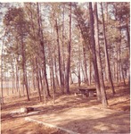 2351.3 T67-20 Family Camping Unit Sandy Creek - Angelina National Forest 1966