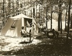 2351.3-7534 Tent Camping Ratcliff - Davy Crockett National Forest 1964 by United States Forest Service