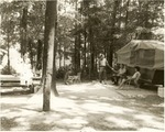 2351.3-514990 Milligan Family Permit Holmes Ratcliff - Davy Crockett National Forest 1966