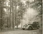 2351.3 Ratcliff Lake Camping - Davy Crockett National Forest 1938 by United States Forest Service