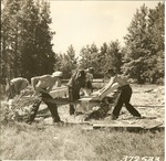 1310.4-327533 Gunnels Piledriver Patroon Camp CCC - Sabine National Forest 1938 by United States Forest Service