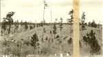 1310.4 Scenery Planting Site 05 - Angelina National Forest 1936