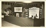 1600-408350 Houston County Fair - NFGT Exhibits - Davy Crockett National Forest 1939 by United States Forest Service