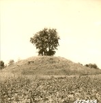 2360-372454 Davis Site Indian Mound Outside - Davy Crockett National Forest 1938 by United States Forest Service