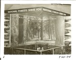 1640.1-T64-74 National Garden Club - NFGT Exhibits 1960 by United States Forest Service