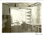1640.1-T64-76 National Garden Club - NFGT Exhibits 1960