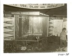 1640.1-T64-78 Texas Forestry Expo - NFGT Exhibits 1960 by United States Forest Service