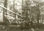 2351.5-08 Sawmill Trail - Angelina National Forest by United States Forest Service