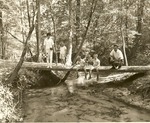 2351.5-7547 Stream Family Big Thicket - Sam Houston National Forest by United States Forest Service