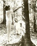 2351.5-508571 Mother Daughter Beech Tree - Sam Houston National Forest 1964 by United States Forest Service
