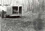 2641-01 Deer Release - Davy Crockett National Forest 1983