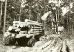 2400-01 Loading Logs - Sam Houston National Forest 1980 by United States Forest Service