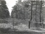 2600 T67-4 Wildlife Food Patch - Sam Houston National Forest 1967