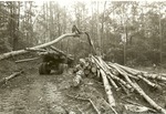 2400-08 Loading Logs - Sam Houston National Forest