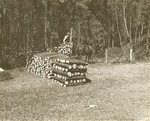 2400-09 Thinning Pulpwood Ratcliff - Davy Crockett National Forest 1957 0001