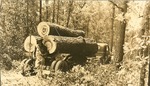 2400-17 Historic Load Logs - National Forests and Grasslands by United States Forest Service