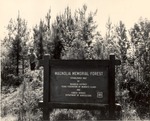 2400-41 Magnolia Memorial Forest - Angelina National Forest 1967 by United States Forest Service