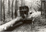 2400-80-1 Skidding Logs - National Forests and Grasslands by United States Forest Services