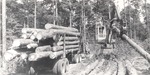 2400-80-3 Loading Logs - Sam Houston National Forest 1980 by United States Forest Service