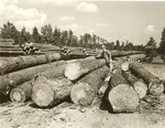 2400-1395 Temple Lumber CO Storage Yard Tram Cars - Sabine National Forest 1950 by United States Forest Service